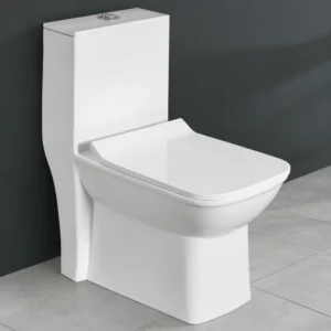 Orchid S&P Rimless One-Piece Western Toilet with Soft Close Seat
