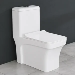 Larra-S Wash Down One-Piece Western Toilet with Soft Close Seat