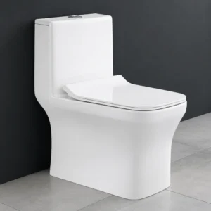 Compass-S&P One-Piece Western Toilet with Built-in Jet & Soft Close Seat