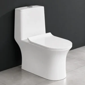 Alis-S&P Rimless One-Piece Western Toilet with Soft Close Seat