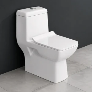 Loras-S&P One-Piece Western Toilet with Soft Close Seat