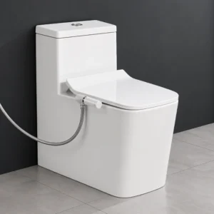 Hammer Pro-S Rimless One-Piece Toilet with Jet Spray