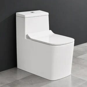 Hammer-S Rimless One-Piece Western Toilet with Soft Close Seat