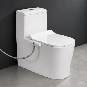 Rolls Pro-S Rimless One-Piece Toilet with Jet Spray