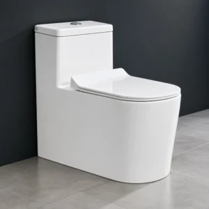 Rolls-S Rimless One-Piece Western Toilet with Soft Close Seat