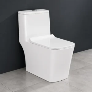Arrow-S One-Piece Western Toilet with Soft Close Seat