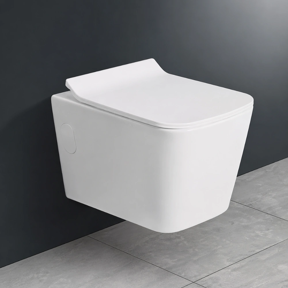 Modern Wall Hung WC with Soft-Close Seat