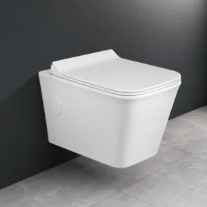 Bella Rimless Wall Hung WC with Blind Installation