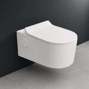 Parker Rimless Wall Hung WC with Blind Installation