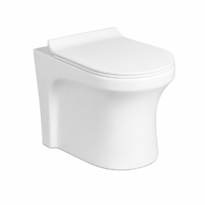 Jiva S&P Rimless Wall-Hung WC